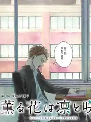 樱花漫画更新日历说明